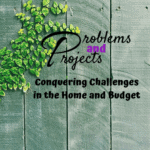 Logo of Problems and Projects